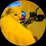 Micheal Grace - @michealgraceofficial - Instagram