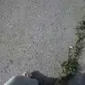 micheal gray - @michealgray0 - TikTok