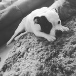 Michael McDowell - @michael.mcdowell.56614 - Instagram