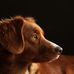 Micheal McDowell - Facebook