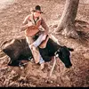 Michael Moore - @warponyperformancehorses - TikTok