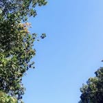 @micheal._.richards - Instagram
