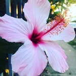 Micheal Richards - @michealrichards269 - Instagram