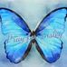 Michael Rivers - Facebook