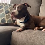 Micheal Rivers Jr. - @mdrj317 - Instagram