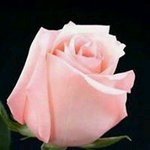 Micheal Swift - @micheal.swift.18 - Instagram