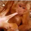 Micheal Tyler - @monkey_mike_01 - TikTok