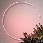 Micheal Tyler - @tukuralameen - Instagram