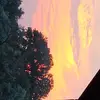 Tyler Micheal - @tyler.micheal19 - TikTok