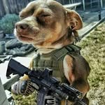 Micheal White - @michealwhite5032 - Instagram
