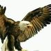 Michel Auguste - Facebook
