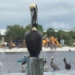 Michel Berube - @michel.berube.5439 - Instagram
