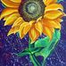 Michel Camacho - Facebook