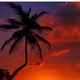Michel Eugene - Facebook
