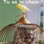 Michel Eugène Gnacadja - @micheleugenegnacadja - Instagram