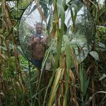 Michel Fleury - @mfleurymichel - Instagram