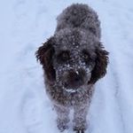 Michel Fleury - @lemichelfleury - Instagram