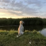 Michel Hébert - @michel.hebert.9 - Instagram