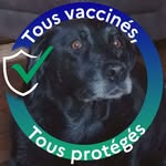 Michel Hebert - @michel.hebert.969 - Instagram