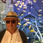 Michel Klein - @michelklein3386 - Instagram