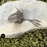 Michel Lapointe - @lapointe7780 - Instagram