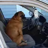 Michel Lapointe - @michel.lapointe3 - TikTok