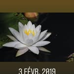 Michel Lessard - @michel.lessard.75685 - Instagram