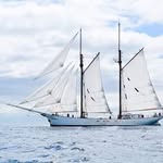 Michel Marchand - @marchand.michel72 - Instagram
