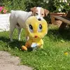 michel marchand - @michel.marchand95 - TikTok