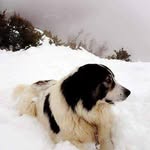 Michel Morel - @morelmochel - Instagram