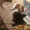 Michel Normand - @michel.normand4 - TikTok