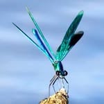 Michel Normand - @michel.normand.758 - Instagram