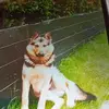 Michel Severe - @michel.severe - TikTok
