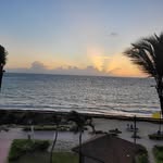 Michel Suissa - @michel.suissa.50 - Instagram