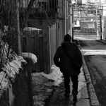 Michel Thibodeau - @michel.thibodeau.144 - Instagram
