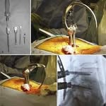Michel Trépanier - @mishil.trepanier1 - Instagram