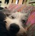 Michela Ruggeri - Facebook
