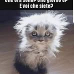 Michele Alba - Facebook