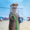 michellealthouse - @michellealthouse - TikTok