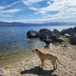 Michele LaFond - @micheleandersenlafond - Instagram