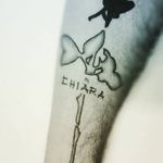 Michele Andretta - @michele.andretta.12 - Instagram