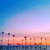 Michelle Auch - @michelle.auch - TikTok