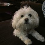 Michele Augustine - @mikki13601 - Instagram