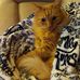 Michele Ayers - Facebook