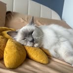 Michelle Barron - Facebook