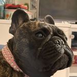 michelebartoli - @michelebartoli10 - Instagram