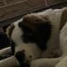 Michelle Bartram - Facebook