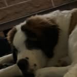 Michelle Bartram - @bartram1202 - Instagram