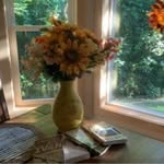 Michele Baxter - @michelebaxter10 - Instagram