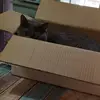 michelebazinet583 - @michelebazinet583 - TikTok